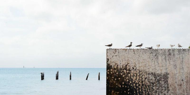 从草原到都市：马哈穆特烤肉的创新坚守与烤羊肉串食谱推荐