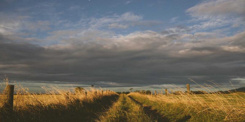 从马哈穆特烤肉到现代餐桌：新疆烤肉的传承、食谱与现代化转型