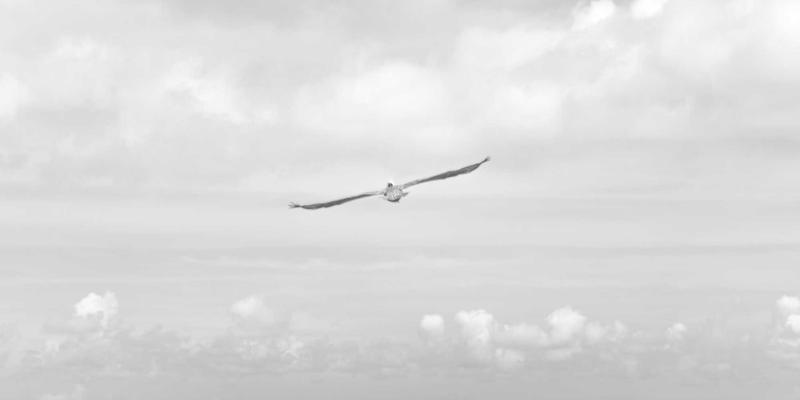 探访马哈穆特烤肉：三代人坚守的新疆烤肉技艺与独家食谱