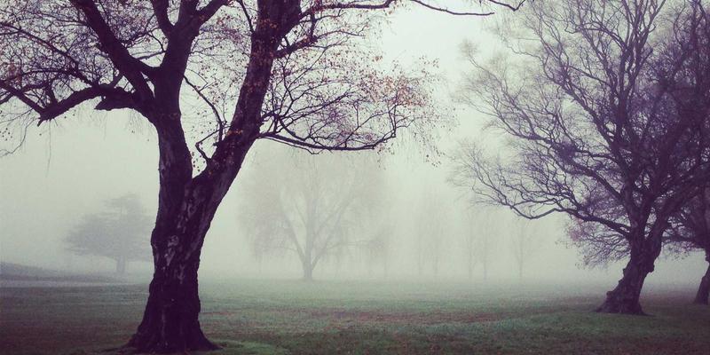 新疆烤肉终极搭配指南：解锁烤羊肉串的黄金主食与灵魂饮品