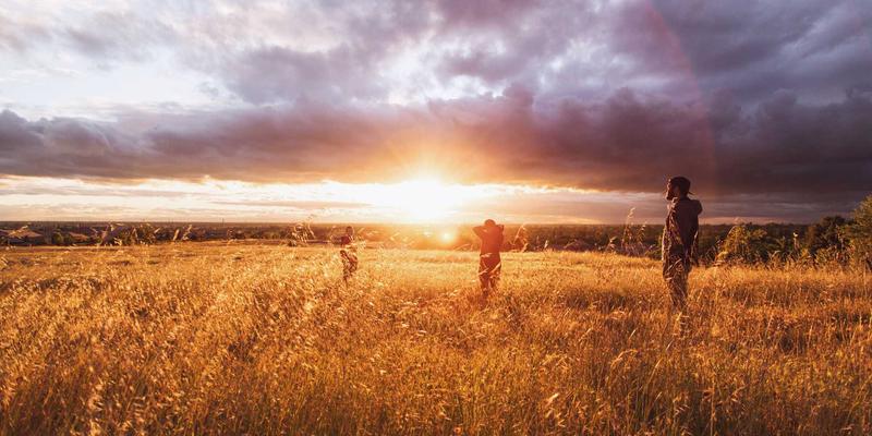美食博客独家探访：马哈穆特烤肉背后的优质羊肉与香料供应链追踪