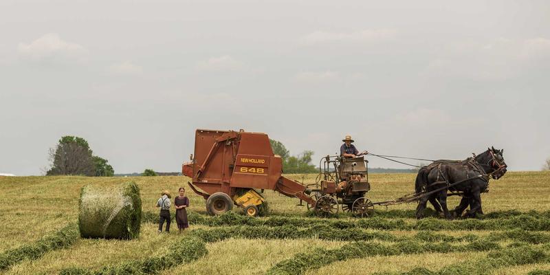 马哈穆特烤肉14：在烟火气中品味新疆风情的极致烤肉体验