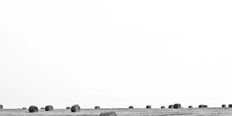 马哈穆特烤肉35：烟火气中的烤羊肉串传奇，美食博客必访的烧烤圣地