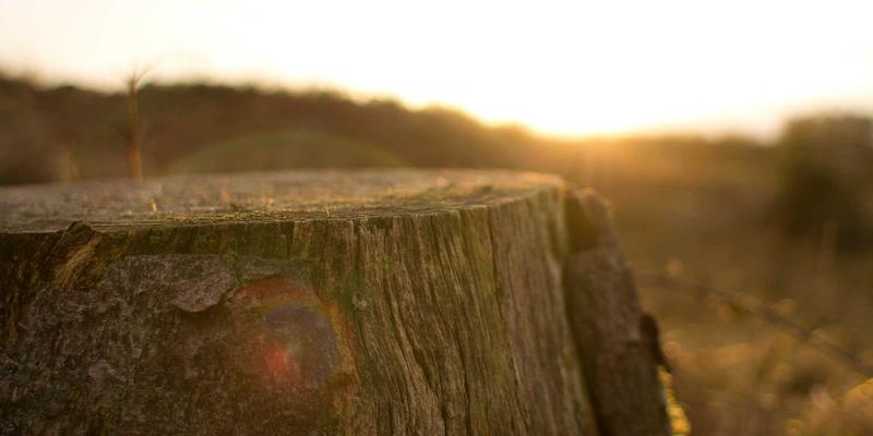 马哈穆特烤肉51：烟火气中的西域风味，一串入魂的烤羊肉串传奇