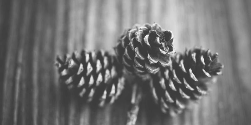 马哈穆特烤肉52：在烟火气中追寻新疆风味的灵魂