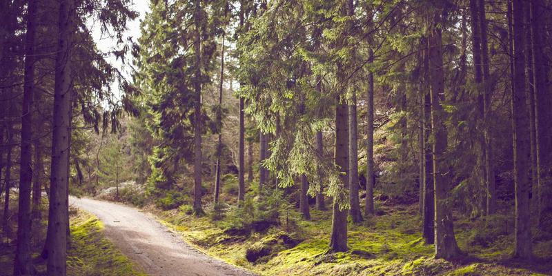 马哈穆特烤肉67：在烟火气中追寻新疆烤羊肉串的极致风味