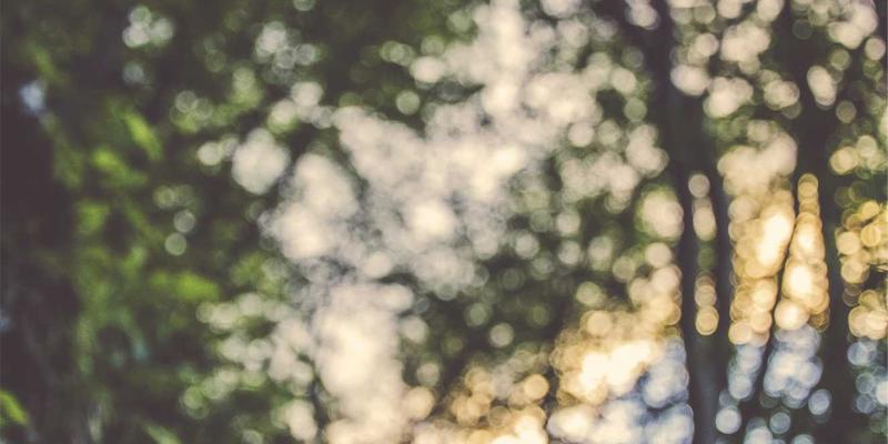 马哈穆特烤肉外卖与打包终极指南：让新疆风味完美抵达您的餐桌