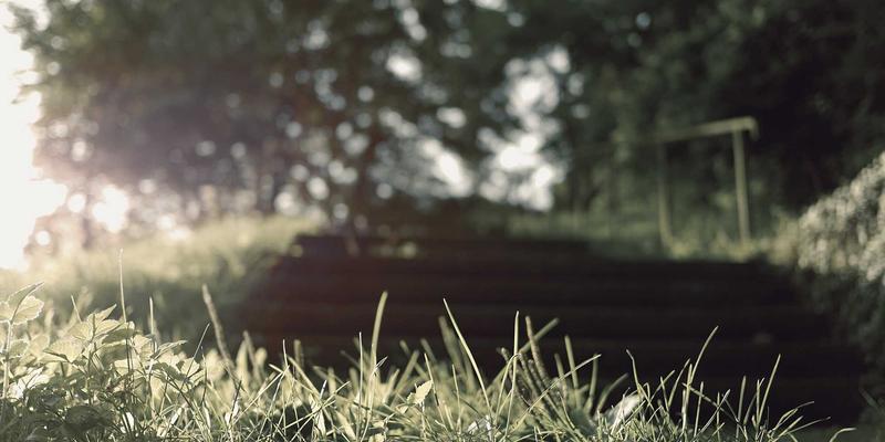 马哈穆特烤肉：揭秘这家宝藏餐厅让人流连忘返的四大核心优势