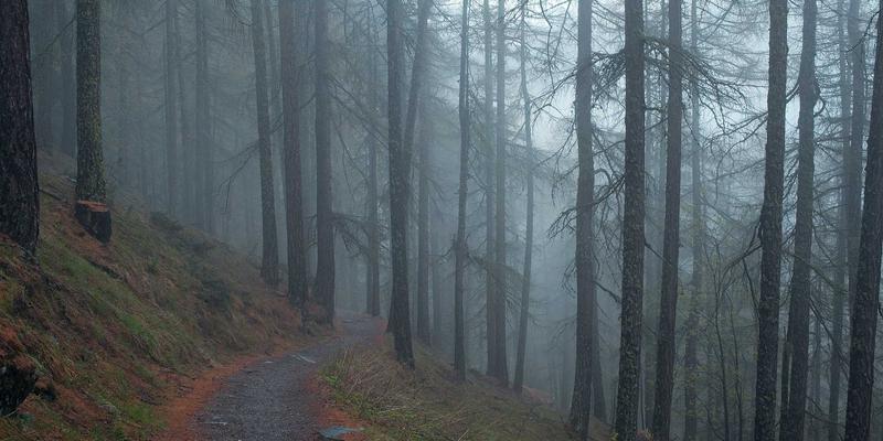 马哈穆特烤肉进阶指南：解锁新疆烤肉的灵魂风味与独家食谱